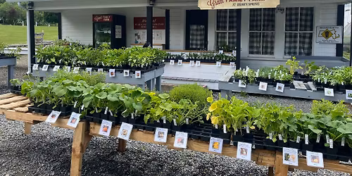 Plant Sales Kickoff Weekend
