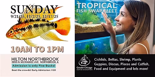 GCCA - Tropical Fish Swap (Over 100 tables & thousands of freshwater fish)