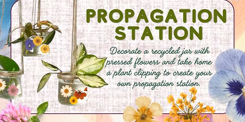 Crafty Adults: Propagation Station