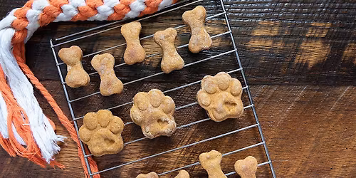 Class: Homemade Dog Treats
