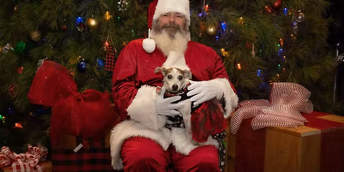 Santa Claus & Brewery Paws 