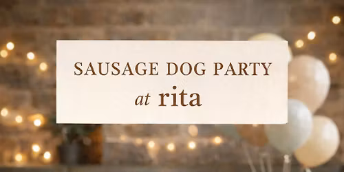 Sausage Dog Party! 