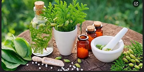 Herbal Hygge: Crafting a Calm & Cozy Winter Nervous System