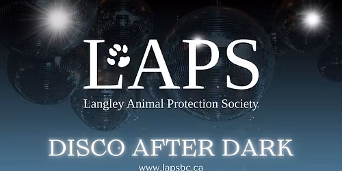 DISCO AFTER DARK