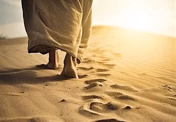 Cultivating the Interior Life for Persevering in the Following of Christ