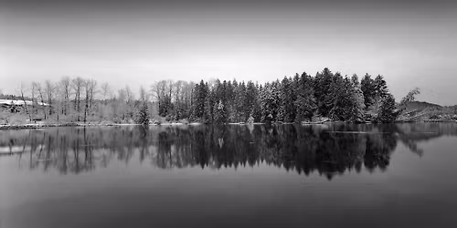 Sunday Sunrise Photo Walk on Port Moody\u2019s Inlet Trail, Landscapes, Birds
