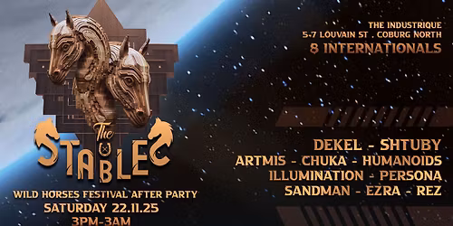 Wild Horses Festival After Party