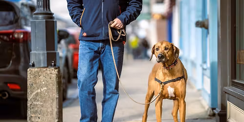 Soul Friends Pet Expo