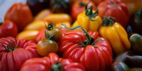 You Say Tomato!