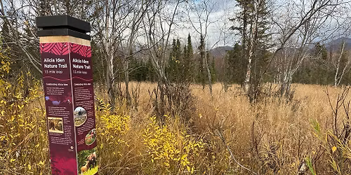 Baxter Bog Park: Celebrate Trails, Volunteers & Community