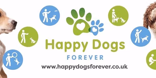 6 Week Puppy Course \u00a390