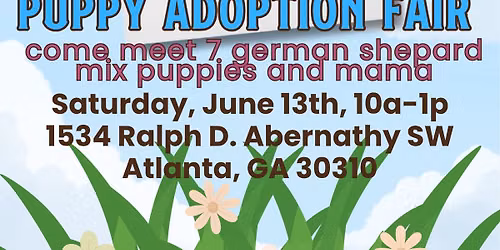 Puppy Adoption Fair! 