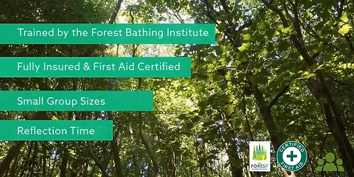 Forest Bathing+ in Bevendean Woods\u2013Slow Down, Breathe Deeply, Feel Restored