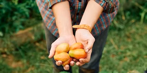 Harvest Festival