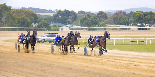 Race Day 29th December 2025