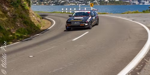 Shelly Bay Seal Sprint 2025