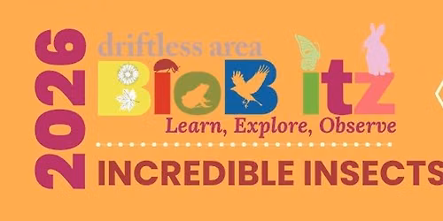 Driftless Area BioBlitz - Incredible Insects FREE Family Program