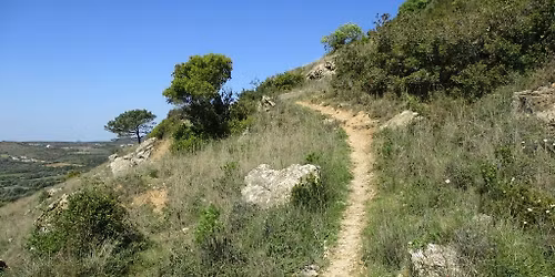 Caminhando nos Trilhos da Serra de Monfirre
