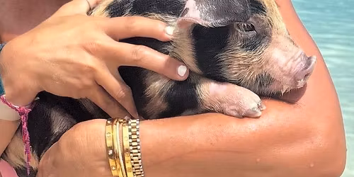 Join the fun\ud83d\ude00four spots left