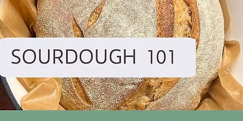 Sourdough 101