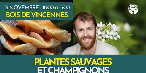 BALADE PLANTES SAUVAGES ET CHAMPIGNONS - BOIS DE VINCENNES