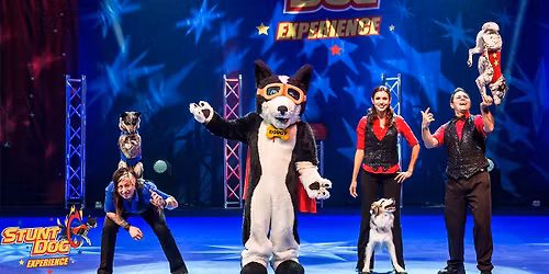 Perondi's Stunt Dog Experience