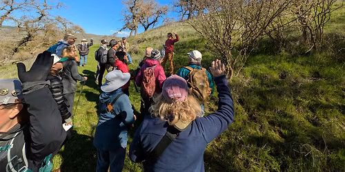 Water, Wildlife and Connectivity Guided Hike at Spreckels Hill!