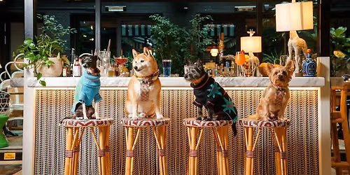 Yappy Hour 2026