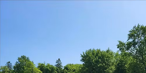 Try aussie rules football - it\u2019s a combo of soccer, hockey, and basketball