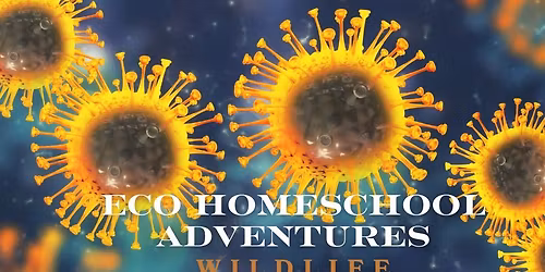 ECO Homeschool Adventures: Wildlife Pathology