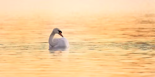 Beginners Wildlife Photography Workshop
