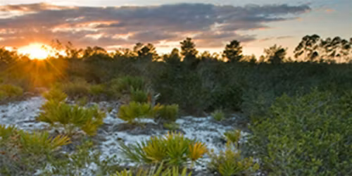 Sunset in the Scrub Hike