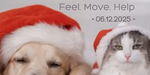 Olsztyn Ta\u0144czy vol. 13 - CHRISTMAS 4 ANIMALS 