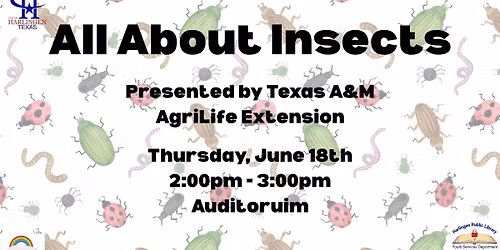 All About Insects