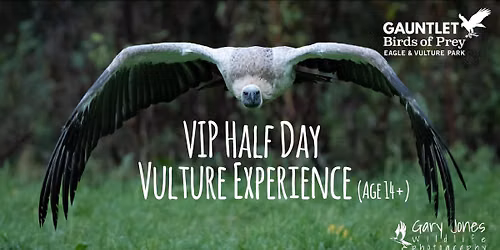 VIP 1\/2 Vulture Experience (Age 14+) \u2013 Fri 19th June 2026