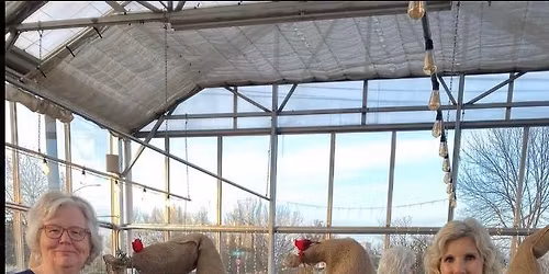 U-Pic: Porch Pot\/Gnome!!