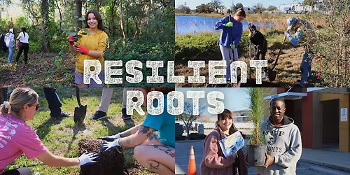 Resilient Roots: John S. Taylor Park Invasive Removal