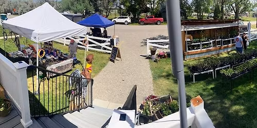 Local Vendor Fair on the Lawn - Free