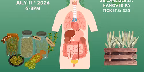 Herbs & Body Systems with Herbs & Sympathy