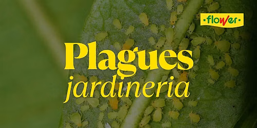 Taller de Plagas | Flower Jardineria