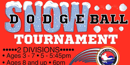 Snowball-Dodgeball Tournament