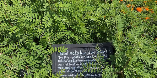 Indigo blue vat dyeing