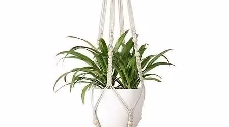 Macram\u00e9 Plant Holder