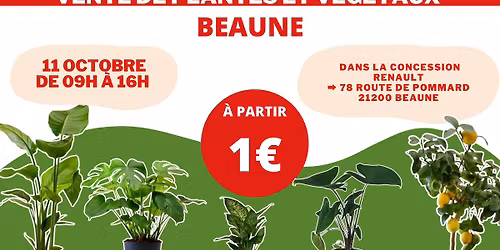 BEAUNE - Végétaux et Plantes à partir de 1€ by Plantes Addict