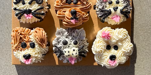 Kid Friendly Cupcake Decorating @ The Suite Spot Janesville