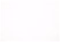 Mothers Day BNV Day Party