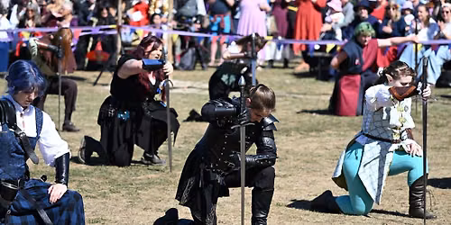 29th Royal Medieval Faire!