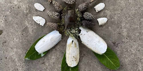 Autumn equinox earth offerings\/altars