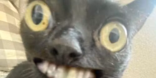 L\u00e4r dina v\u00e4nner att sluta vara intresserade av facebook evenemang