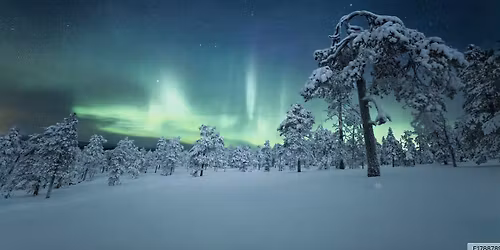 Reset & Receive: Winter Solstice TRE & Sound Healing Retreat